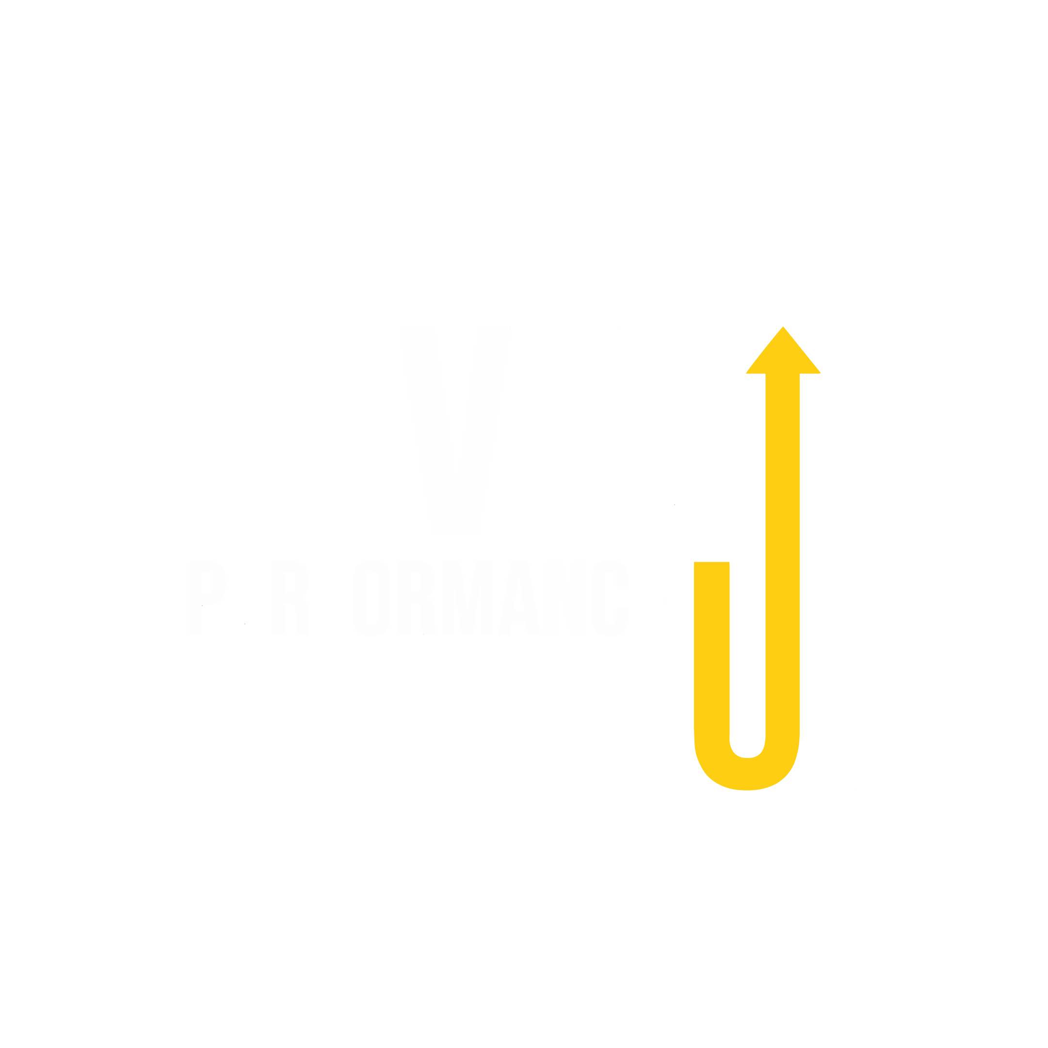 Level Up Performance